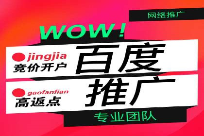 谷歌SEM广告策略：某电商平台的成功逆袭案例